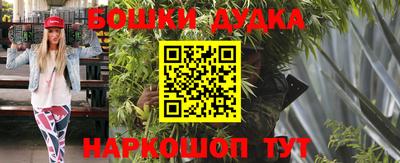 spice Кинель