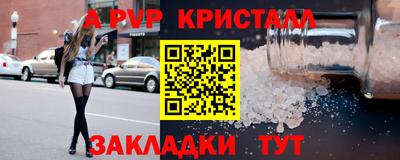 мет Кингисепп