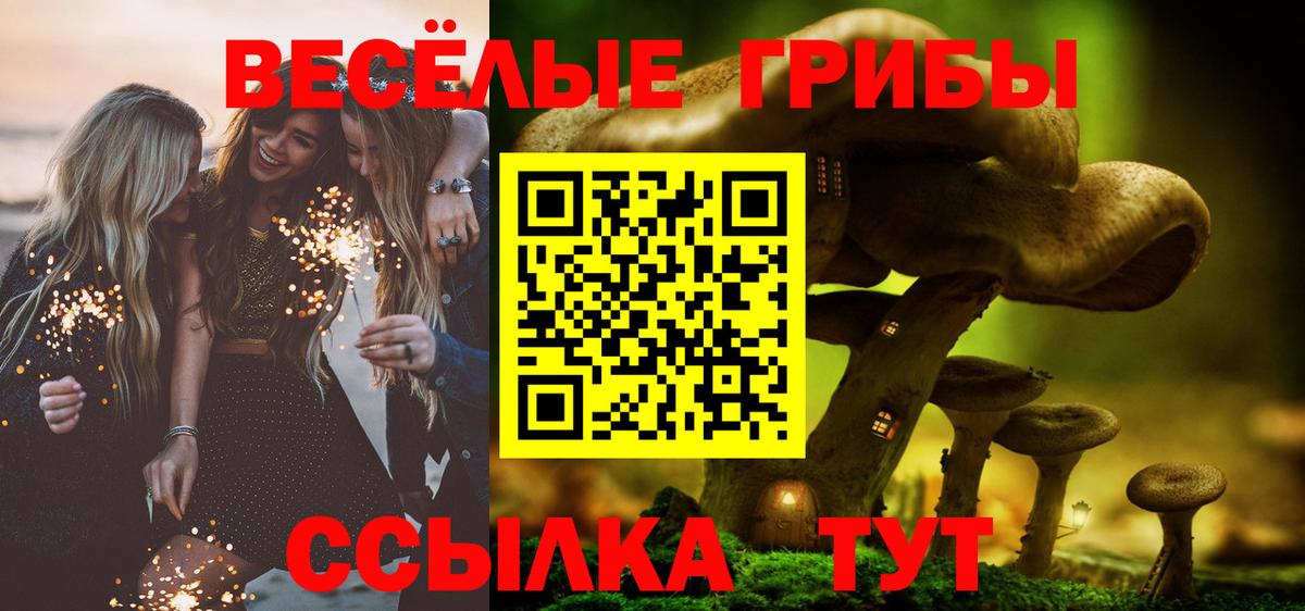 Елабуга  Псилоцибиновые грибы мухоморы  Псилоцибиновые грибы MAGIC MUSHROOMS  Вход с VPN 