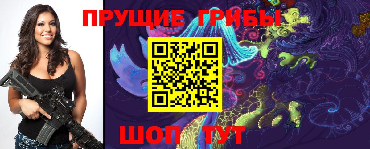 Галлюциногенные грибы Cubensis Елабуга