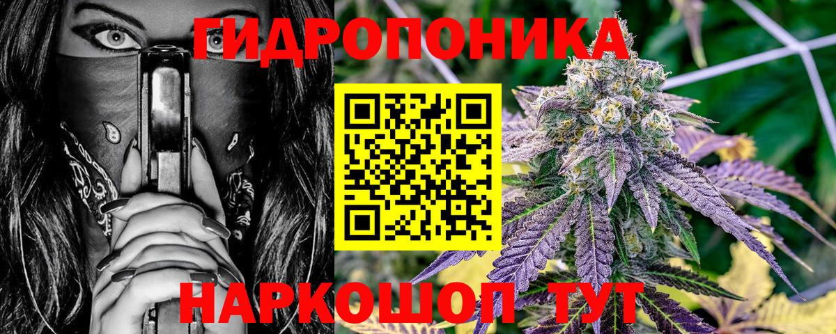 Канабис сатива Елабуга